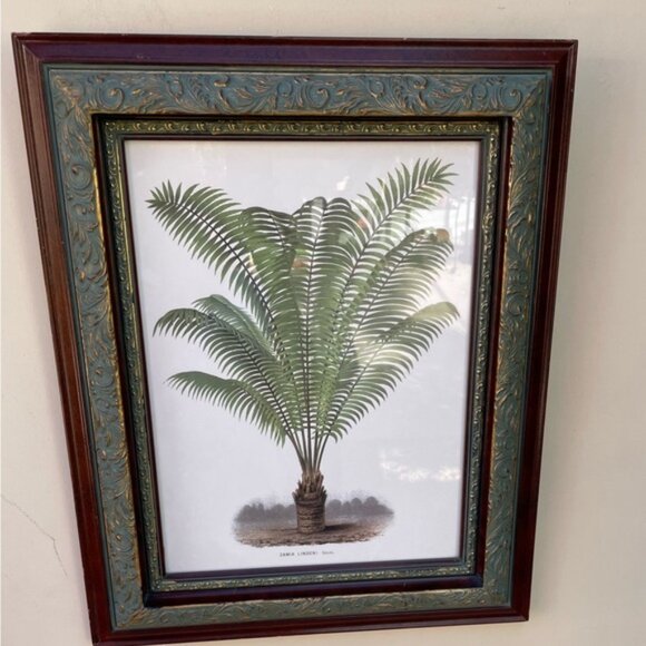 Framed Botanical Print Illustration 22'" x 17.5" - Picture 5 of 8